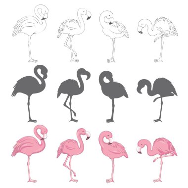 Flamingo siluetleri beyaz - vektör illüstrasyonunda izole edildi