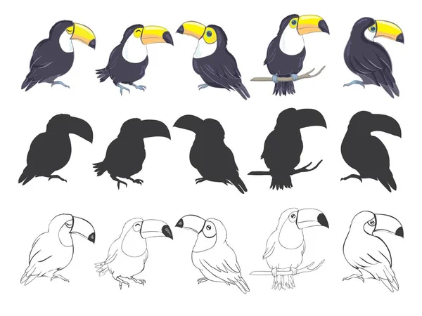 Σύνολο γραφικών πουλιών toucan — Διανυσματικό Αρχείο