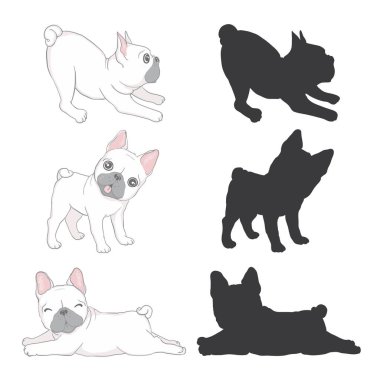 Tatlı Fransız bulldog köpeği yavrusu. Bu Fransız tarzıyla kendimi sevimli ve komik hissediyorum..