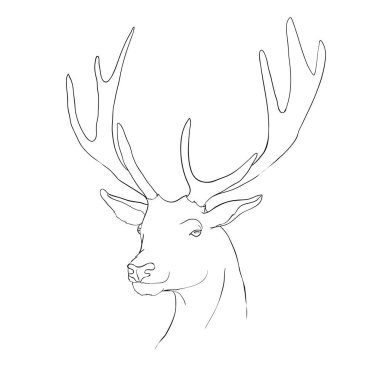 vektör - Geyik - el çizimi, arkaplanda izole