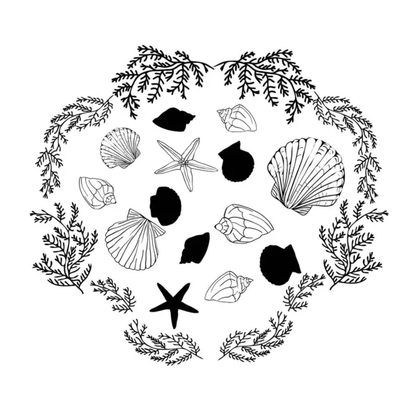 Schelpen collectie. vector opzetten met schelpen en starfish voor je ontwerp en scrapbooking — Stockvector