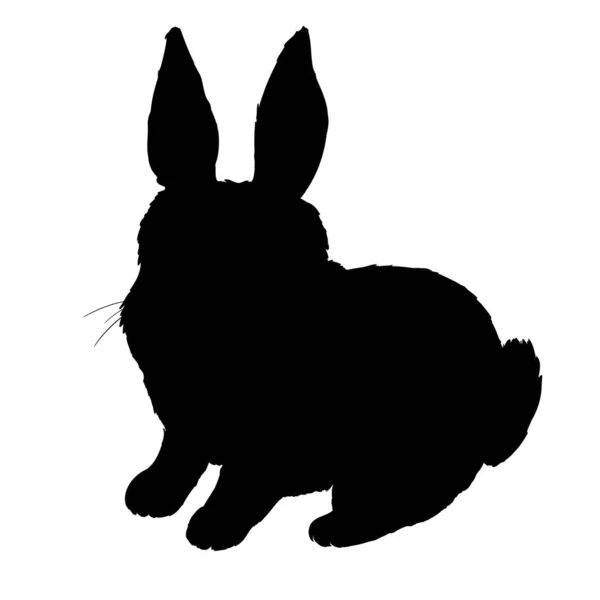 Icône de lapin. vecteur signe de lapin symbole sur fond blanc. Silhouette animale lapin — Image vectorielle