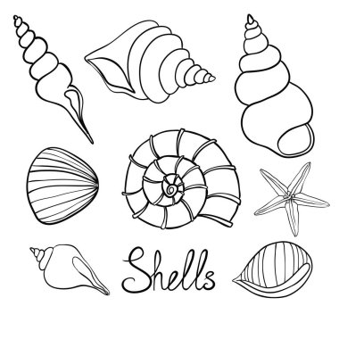 El çizimi vektör çizimleri - deniz kabuğu koleksiyonu. Denizci takımı.