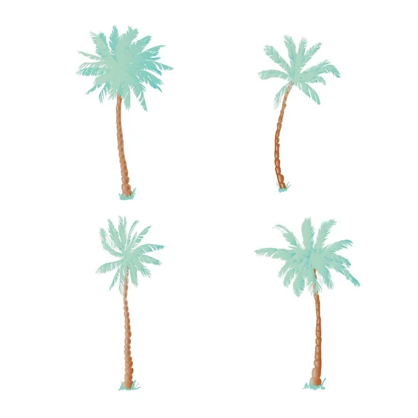 Coconut Palms Illustration White Background Design — Stock Vector