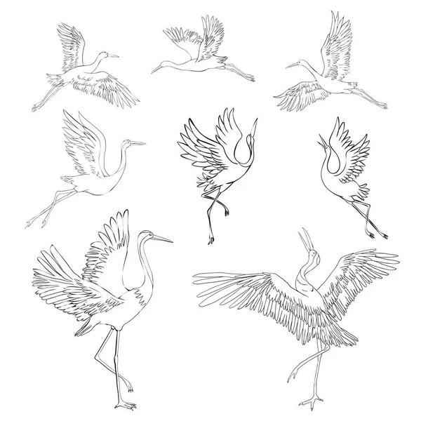 鹤鸟或苍鹭的素描和轮廓或阴影黑色墨水图标飞行和站立设置 — 图库矢量图片