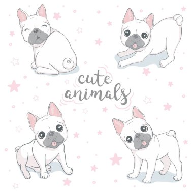 Küçük şirin beyaz Fransız bulldog setinin vektör çizimleri. Buldog köpeğinin farklı pozisyonlardaki mutlu ve komik resimleri ve düz çizgi filmlerdeki gibi duygular..