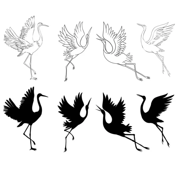 Desenho Silhueta Sombra Ícones Tinta Preta Pássaros Guindastes Garças Voando —  Vetores de Stock