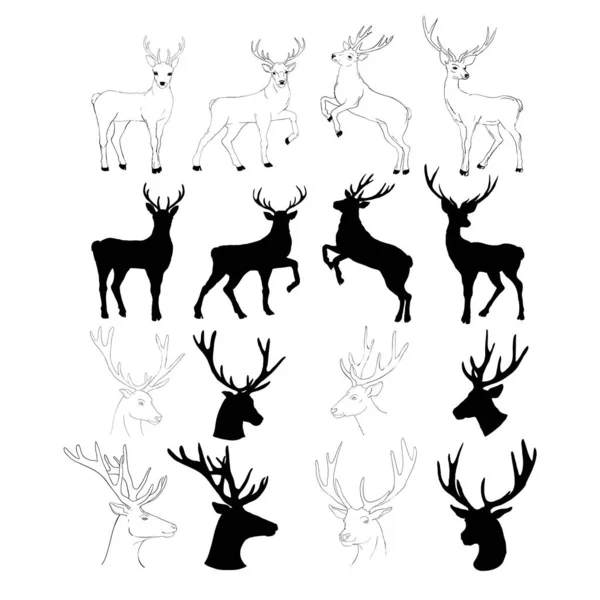 Tête Cerf Stylisation Graphique Pour Votre Conception Objets Isolés — Image vectorielle