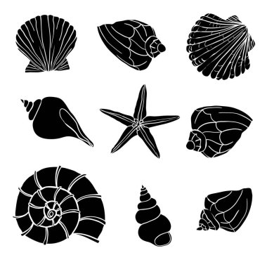Deniz kabuğu koleksiyonu. Deniz kabukları ve deniz yıldızlarıyla donatılmış bir vektör.