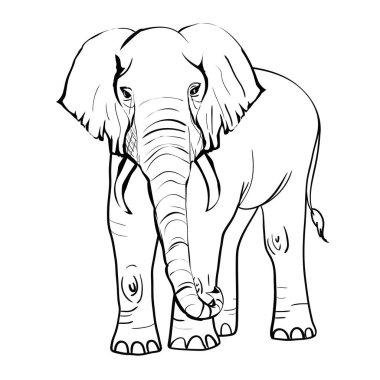 hand drawn sketch of asian elephant illustration done in black ink and isolated on white background clipart
