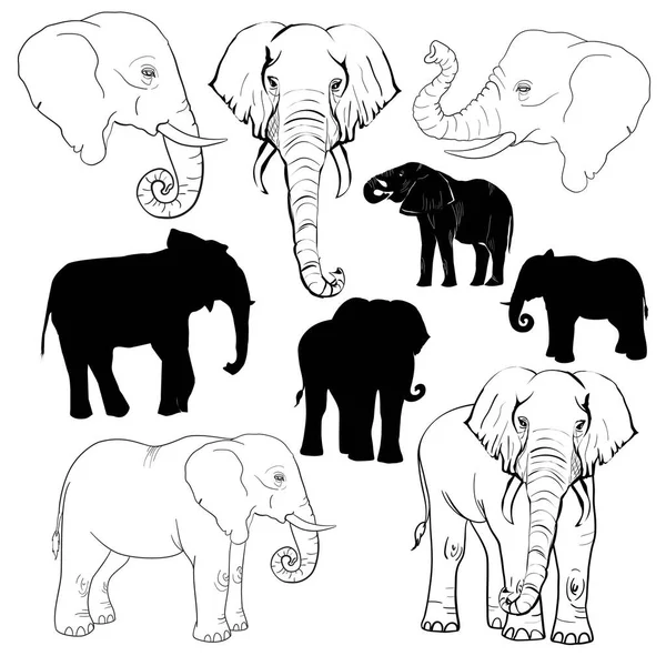 Silhouette Éléphants Croquis Main — Image vectorielle