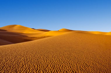 Hatta Çölünde kum tepeleri, Dubai