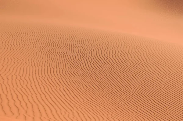 Rippel Sanddynerna — Stockfoto