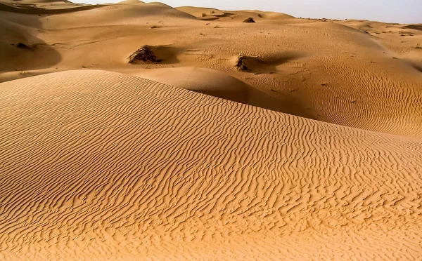 Ondulations Dans Les Dunes Désert — Photo