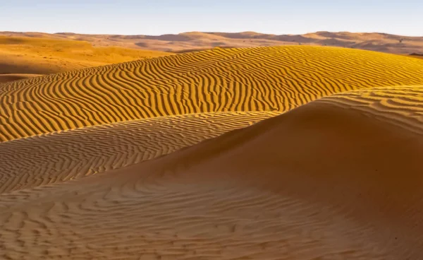 Ondulations Dans Les Dunes Sable — Photo