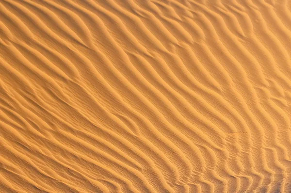 Wavy rippled pattern of the sand