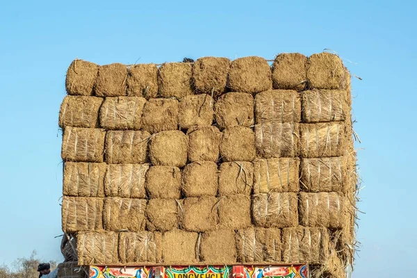 农村的稻草堆 — 图库照片