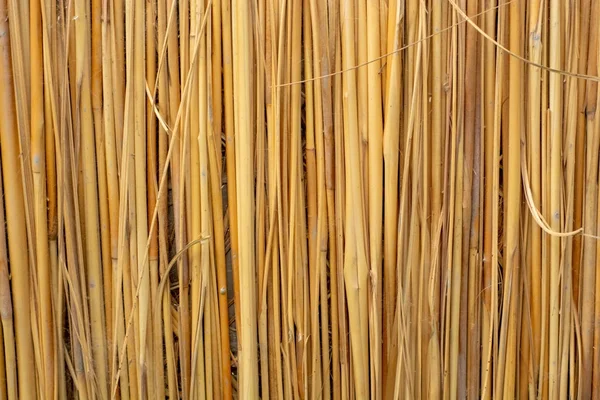 褐色稻草的纹理 — 图库照片