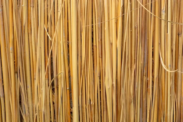 Textuur Van Bruine Rietjes — Stockfoto