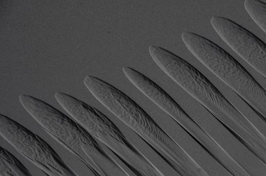 Siyah kumların eşsiz deseni 