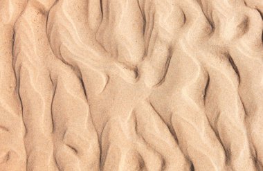 Sahildeki kumların güzel dokusu