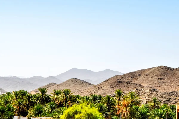 무스카트 근처에 아라비아 사막의 오아시스 — 스톡 사진