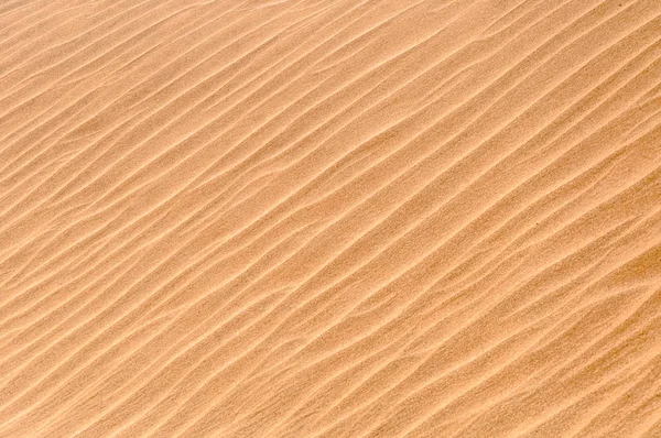 Texture or pattern of the rippled sand