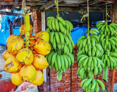 Taze yeşil muz ve hindistan cevizi.
