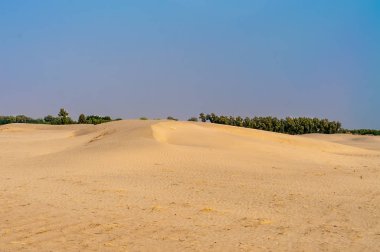 Thar Çölü 'nde bir vaha 
