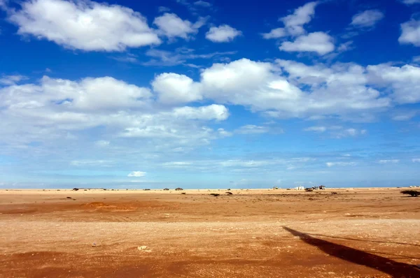雨の後の砂漠の魅力的な景色 — ストック写真