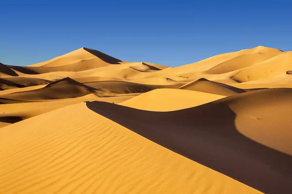 Песчаные Дюны Пустыне Хатта — стоковое фото