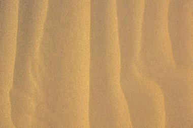 Kumun dalgalı dokusu 