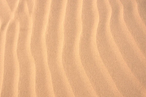 Sand Pattern North Carolina — Stock Photo, Image