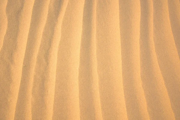 Texture Golden Sand — Stock Photo, Image