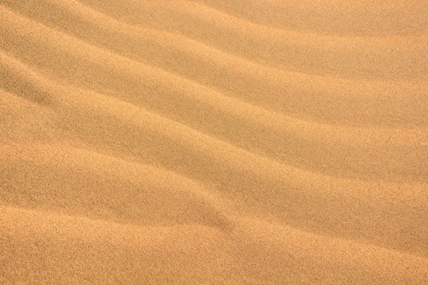 Texture Golden Sand — Stock Photo, Image