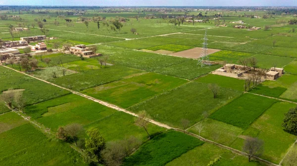 Vista Aérea Del Paisaje Verde Campo Punjab — Foto de Stock