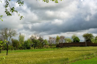 Punjab kırsalında muson bulutları 
