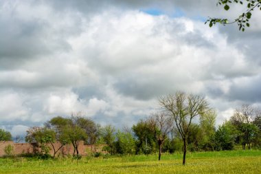 Bereketli yeşil tarım arazilerinin üzerindeki bulutlar