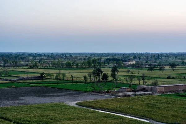 Повітряний Вид Краєвид Сільськогосподарського Ландшафту Сільській Місцевості Пенджабу — стокове фото