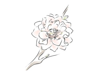 Çiçek el ile vektör