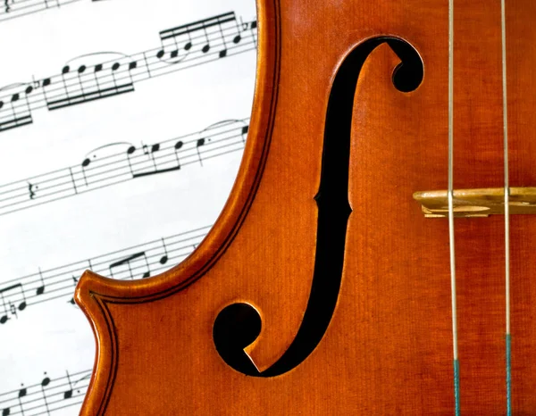 Violino e note musicali — Foto Stock