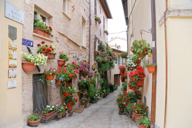 Spello, İtalya - 29 Haziran, 2017: çiçek Spello, İtalya Umbria, sanatsal görüntü sokaklarda büyüleyici