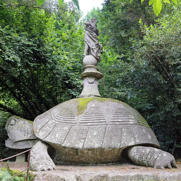 Tortue dans Monster Park à Bomarzo - Italie — Photo