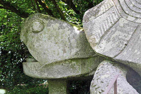 Turtle in Monster Park in Bomarzo - Italy — Stock Photo, Image