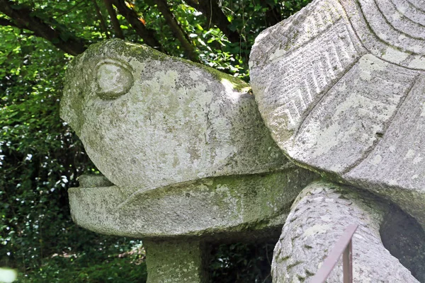 Tortue dans Monster Park à Bomarzo - Italie — Photo