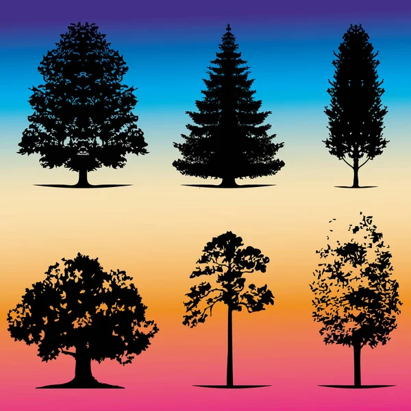 Various of vector tree silhouettes in dark black color — Stock Vector