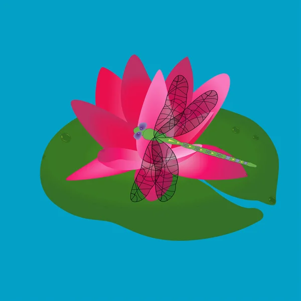 Pink color lotus flower on leaves vector drawing — Stock Vector