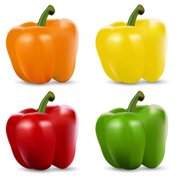 Vector Set of Colored Yellow Green Orange and Red Sweet Bulgarian Bell Peppers, Paprika Isolated on White Background