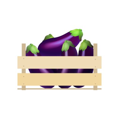 Patlıcan ahşap sandık içinde. Vektör çizim