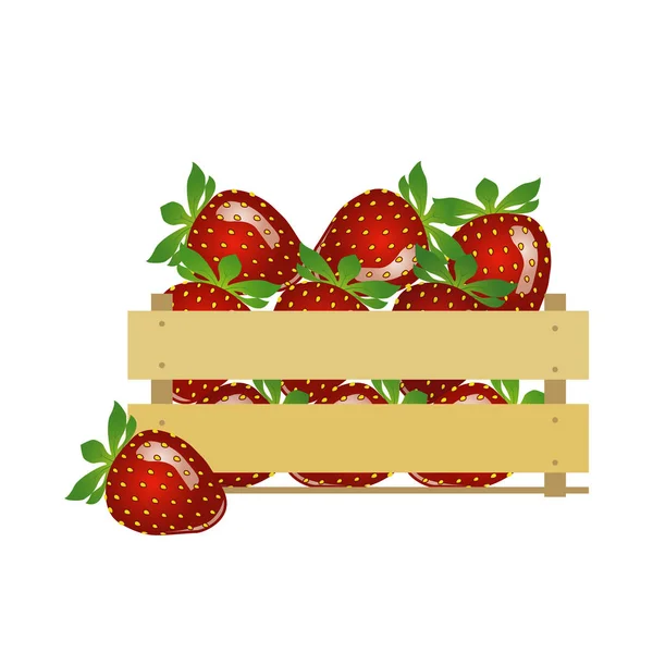 Fragole. Cesto di frutta. Illustrazione del vettore delle bacche rosse. Alimenti primaverili ed estivi . — Vettoriale Stock